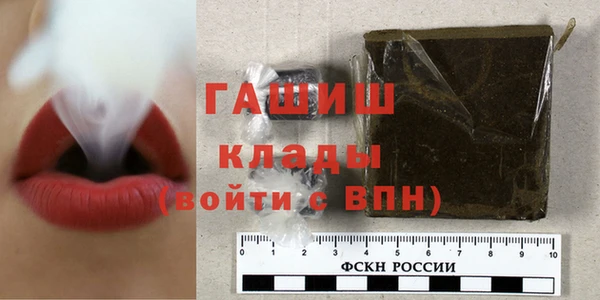 хмурый Арсеньев