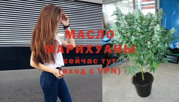 хмурый Арсеньев